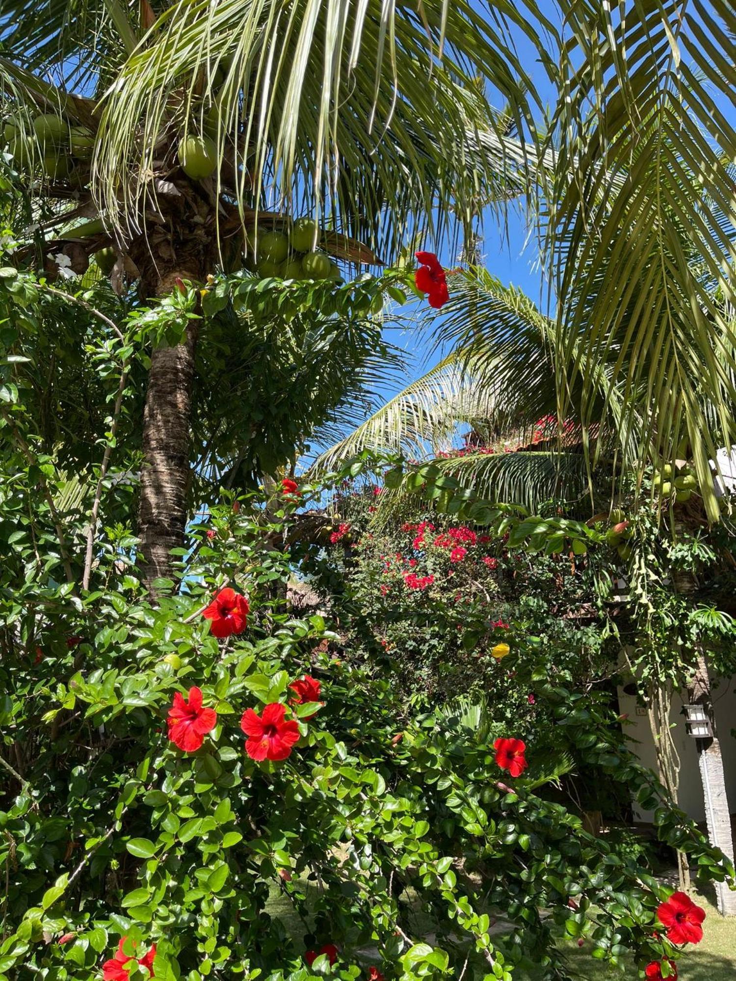 Hotel Controvento Boutique 4*