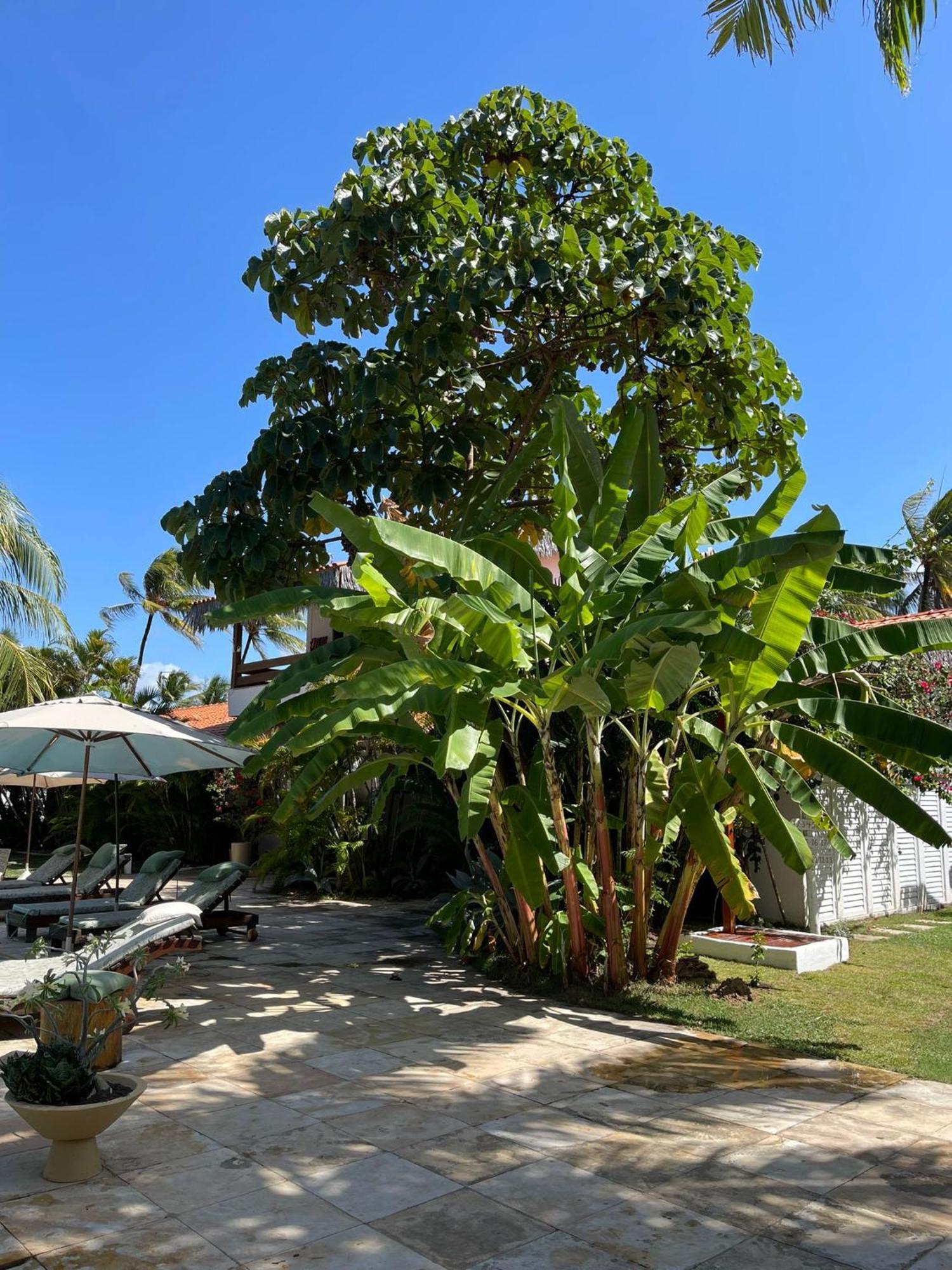 Controvento Boutique Hotel 4*