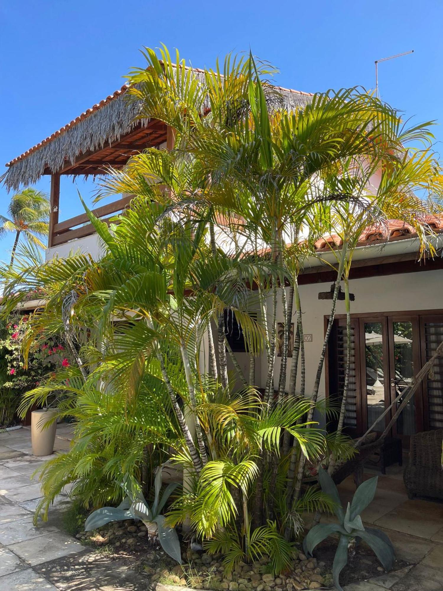 Controvento Boutique 4* Cumbuco